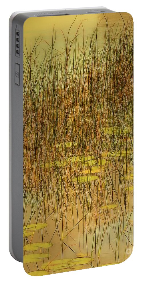  Portable Battery Charger featuring the photograph Willow Song by Hugh Walker