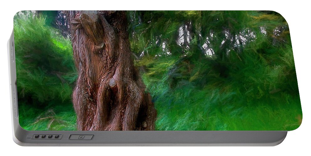 Tree Portable Battery Charger featuring the photograph Wind in the Cedar by Wayne King