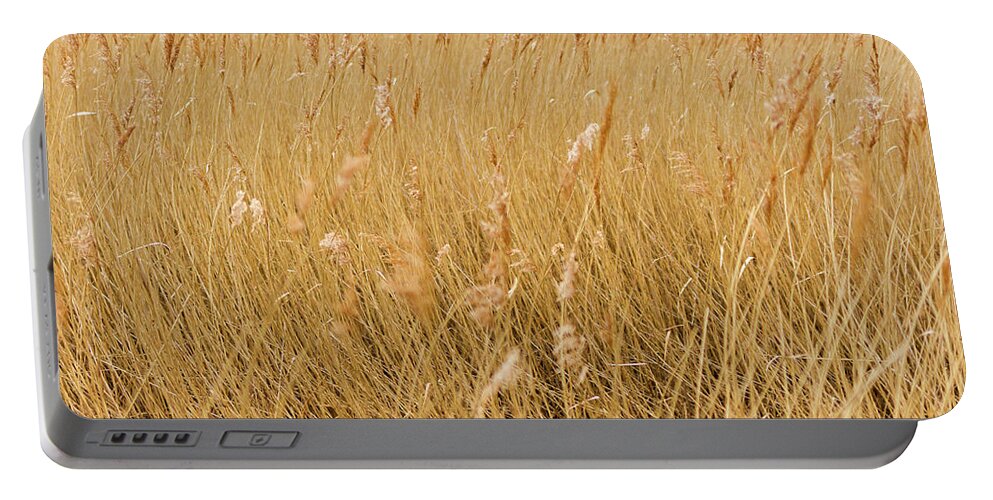 Grass Portable Battery Charger featuring the photograph Windswept Grass by Tanya C Smith