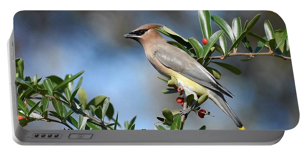Cedar Waxwing Portable Battery Charger featuring the photograph Winged Beauty by Fraida Gutovich