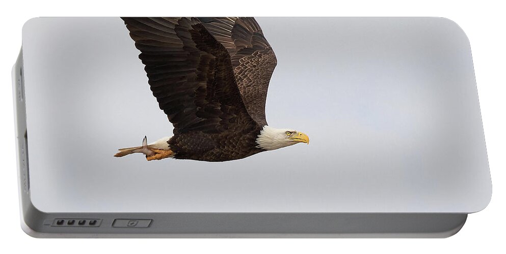 Eagle Portable Battery Charger featuring the photograph Winging Out by Art Cole
