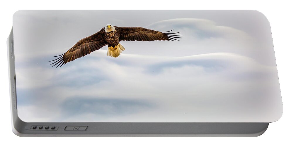 Eagle Portable Battery Charger featuring the photograph Wings on High by David Wagenblatt