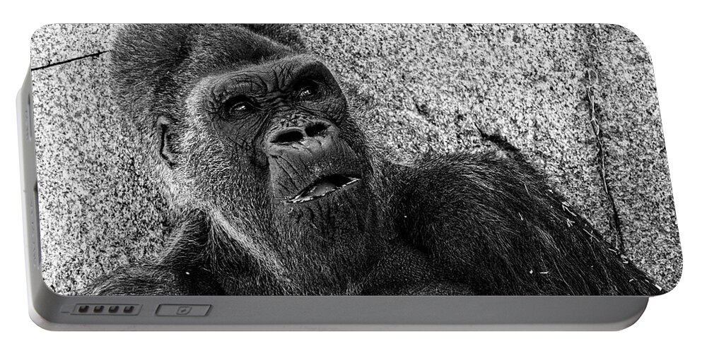 Winston Portable Battery Charger featuring the photograph Winston -- Western Lowland Gorilla at San Diego Zoo Safari Park, California by Darin Volpe