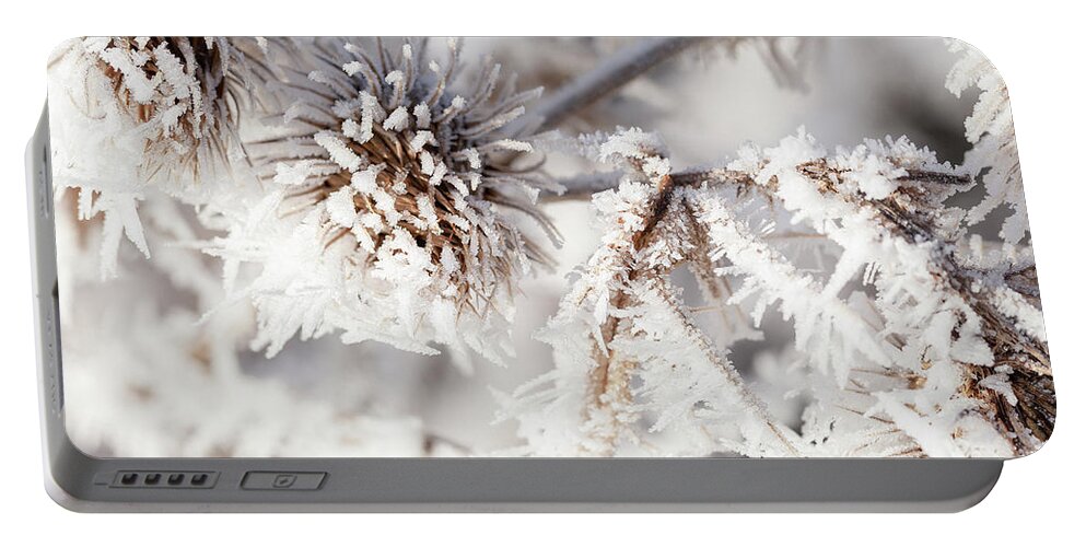 Freezing Portable Battery Charger featuring the photograph Winter frost on a garden thistle close up by Simon Bratt