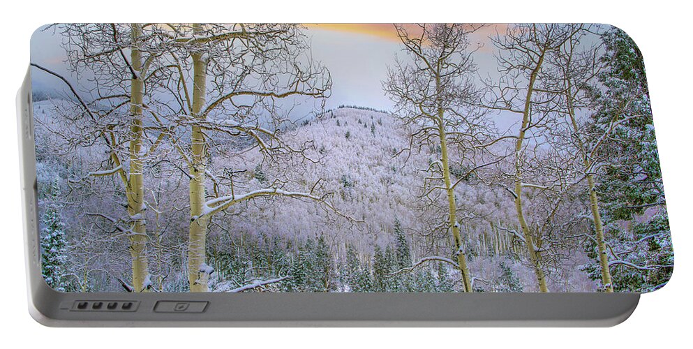 00564886 Portable Battery Charger featuring the photograph Winter Quaking Aspen, Aspen Vista, Santa Fe National Forest, New Mexico by Tim Fitzharris