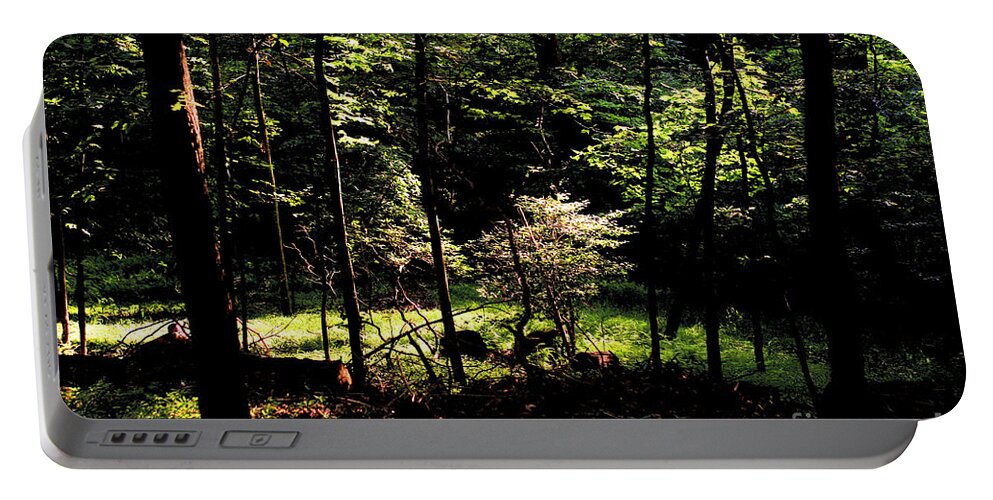 Forest Portable Battery Charger featuring the photograph Woodland Calm - No. 17 by Steve Ember