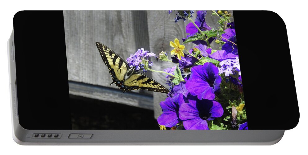Butterfly Portable Battery Charger featuring the photograph Yellow Butterfly by Kathy Chism