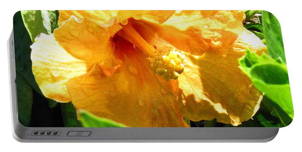 Flower Portable Battery Charger featuring the photograph Yellow Giant After The Rain by Amy Hosp