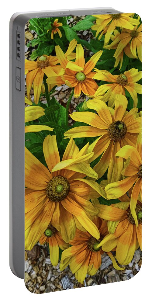 Flower Portable Battery Charger featuring the photograph Yellow in Bloom by Portia Olaughlin