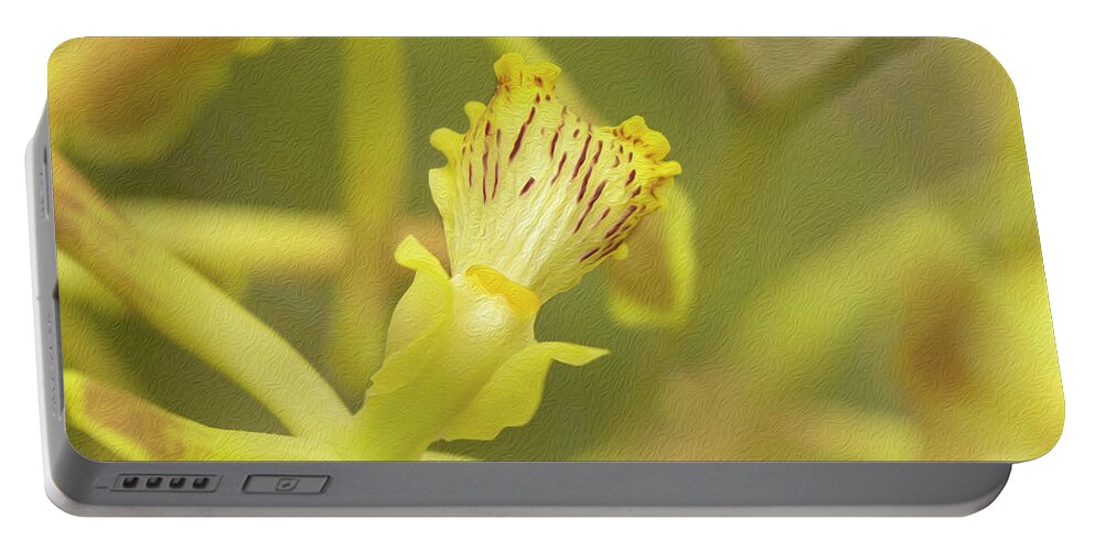 Outdoors Portable Battery Charger featuring the photograph Yellow Orchid by Silvia Marcoschamer