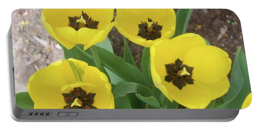 Yellow Tulips Portable Battery Charger featuring the photograph Yellow Tulips by Ee Photography