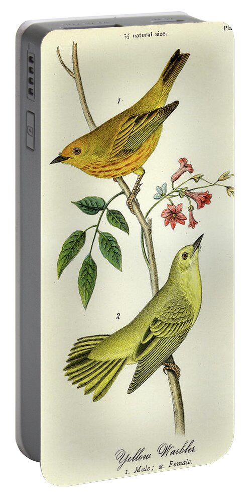 Bird Portable Battery Charger featuring the mixed media Yellow Warbler by Unknown