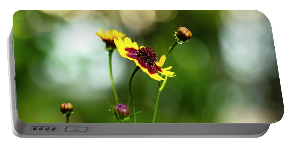 Background Portable Battery Charger featuring the photograph Yellow Wildflower by Raul Rodriguez