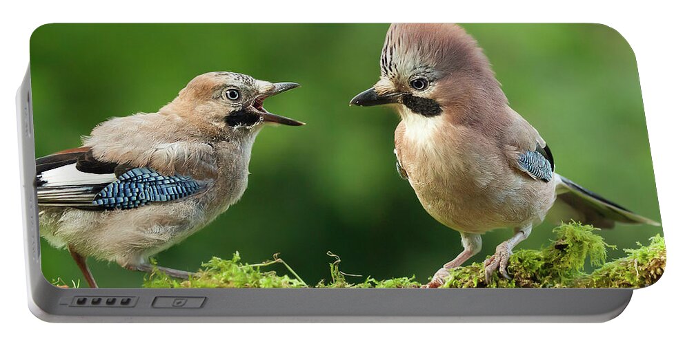Jay Portable Battery Charger featuring the photograph Young jay bird with parent close up by Simon Bratt