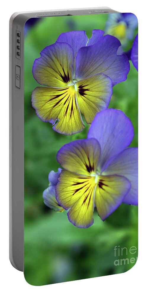 Pansy Portable Battery Charger featuring the photograph You're So Pansy by Carol Eliassen