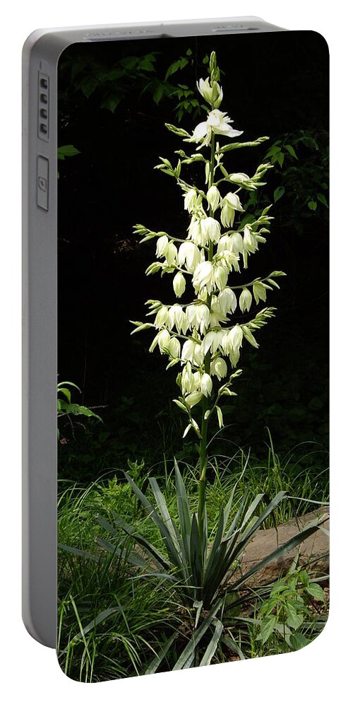 Yucca Portable Battery Charger featuring the photograph Yucca Blossoms by Nancy Ayanna Wyatt