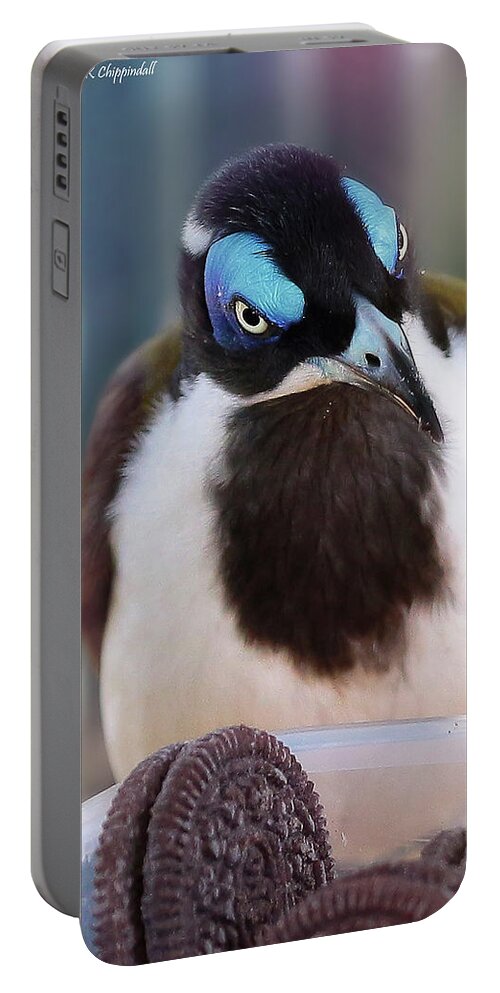 Blue Face Honey Eater Portable Battery Charger featuring the digital art Yum chocolate cookies 01 by Kevin Chippindall