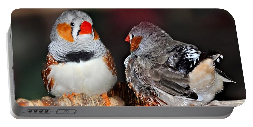Birds Portable Battery Charger featuring the photograph Zebra Finch .. Australia by Elaine Manley