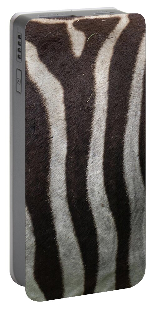 Zebra Portable Battery Charger featuring the photograph Zebra by Minnie Gallman