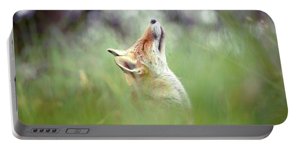 Nature Portable Battery Charger featuring the photograph Zen Fox Series - Nose up in the Air by Roeselien Raimond