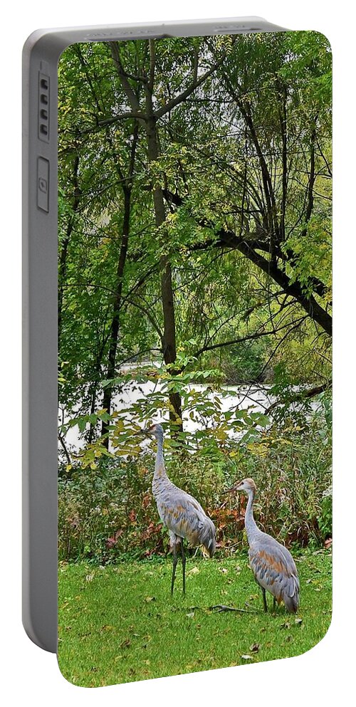 Sandhill Crane; Backyard; Birds; Portable Battery Charger featuring the photograph 2021 Fall Sandhill Cranes 8 by Janis Senungetuk
