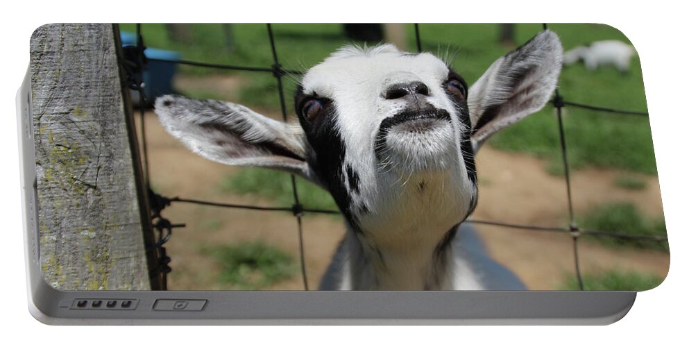 Goat Portable Battery Charger featuring the photograph A Goat's Smile by Demetrai Johnson