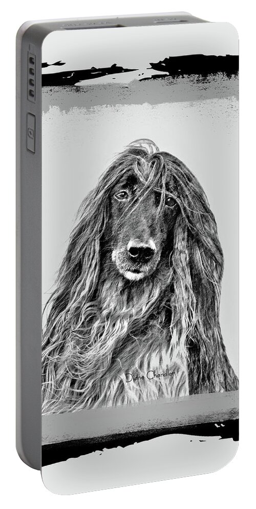 Dog Portable Battery Charger featuring the digital art Afghan Hound #1 by Diane Chandler