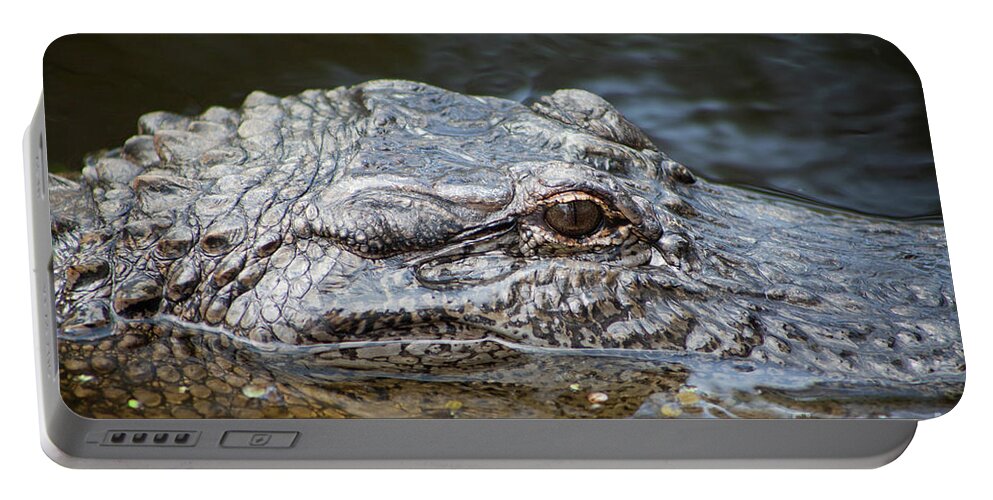 Alligator Portable Battery Charger featuring the photograph Alligator Eye #1 by Kimberly Blom-Roemer