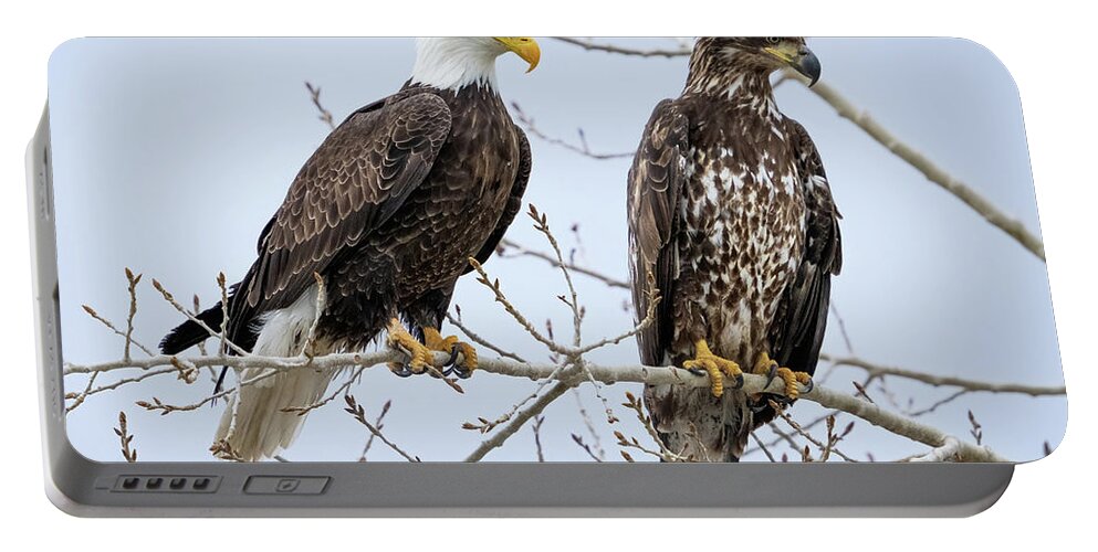 Blad Eagles Portable Battery Charger featuring the photograph Bald Eagles by Wesley Aston
