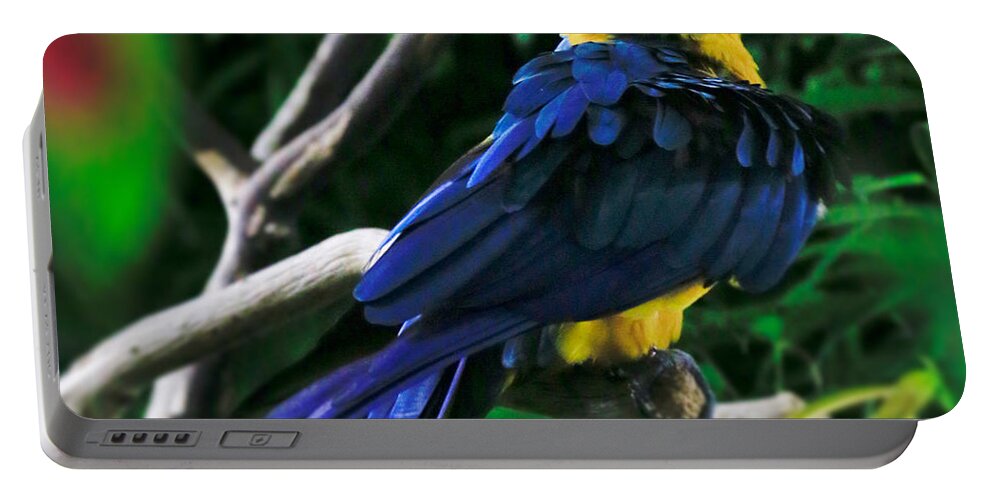Parrot Portable Battery Charger featuring the photograph Bird 3 #1 by Carol Jorgensen