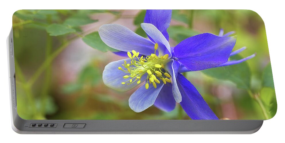 Blue Columbine Portable Battery Charger featuring the photograph Blue Columbine #2 by Bob Falcone