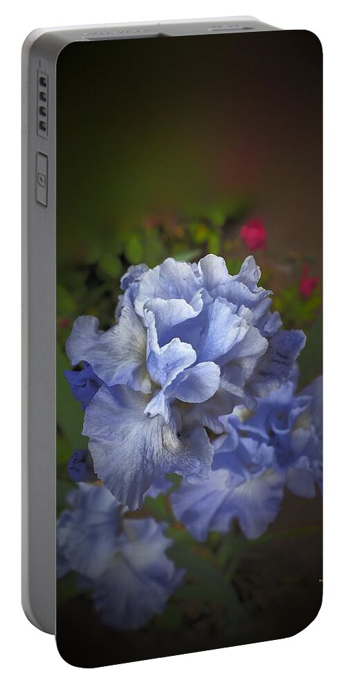 Botanical Portable Battery Charger featuring the photograph Blue Green Red #1 by Richard Thomas