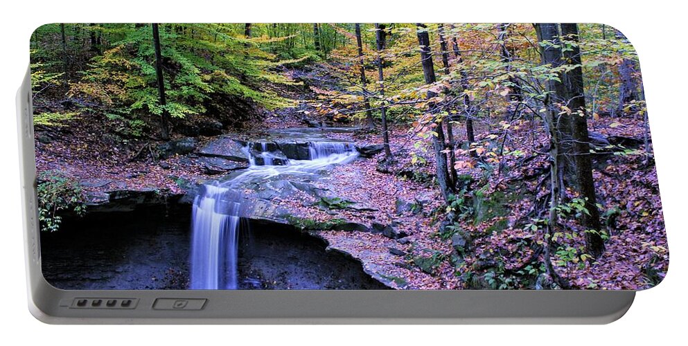  Portable Battery Charger featuring the photograph Blue Hen Falls by Brad Nellis