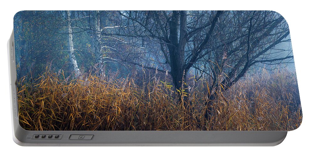 Tree Portable Battery Charger featuring the photograph Blue morning #1 by Davorin Mance