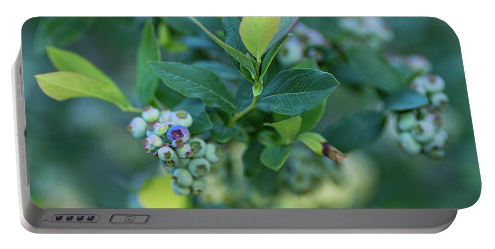 Blueberry Portable Battery Charger featuring the photograph Blueberry Bush #1 by Amelia Pearn