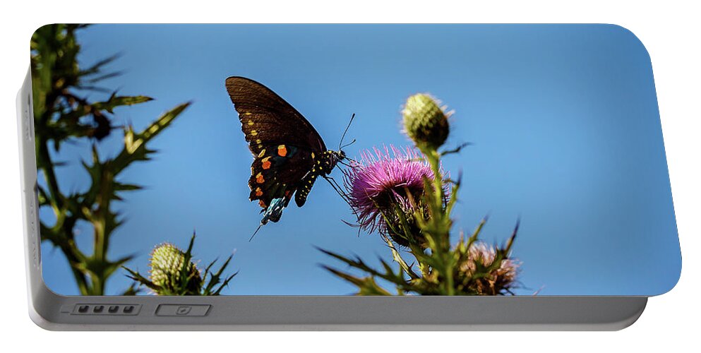 Butterfly Portable Battery Charger featuring the photograph Butterfly by David Beechum