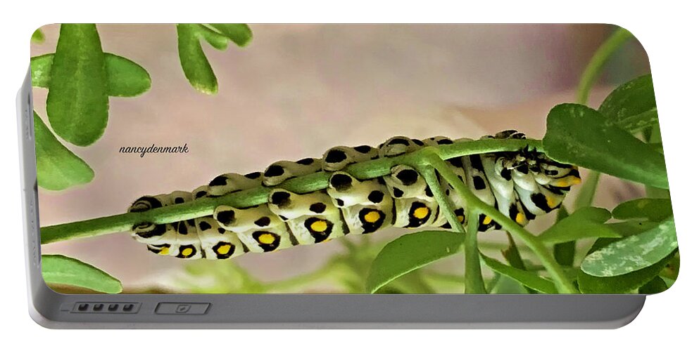 Caterpillar Portable Battery Charger featuring the photograph Caterpillar Feetsies #1 by Nancy Denmark