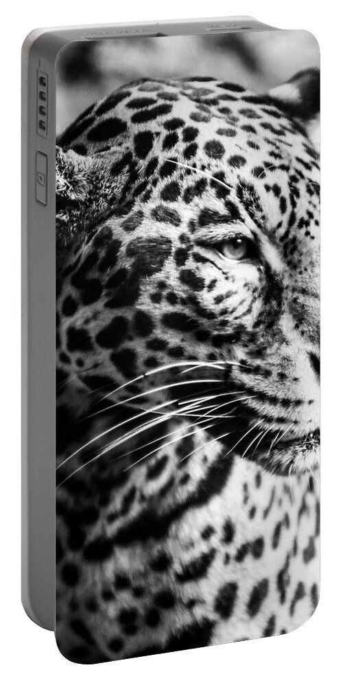 Cheetah Portable Battery Charger featuring the photograph Cheetah #1 by Michelle Wittensoldner