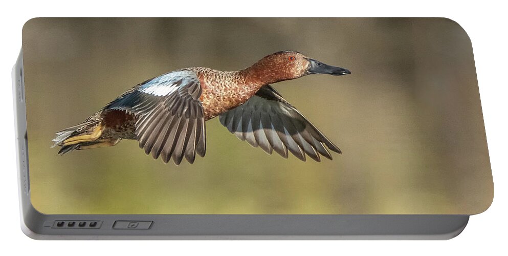 Cinnamon Teal Portable Battery Charger featuring the photograph Cinnamon Teal 3769-011120-2 #1 by Tam Ryan