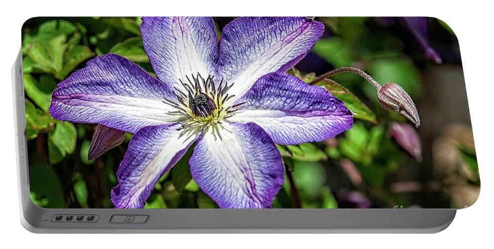 Clematis Portable Battery Charger featuring the photograph Clematis #1 by Fran Woods
