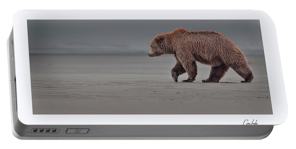 Wild Portable Battery Charger featuring the photograph Coastal Brown Bear on the flats #1 by Gary Langley