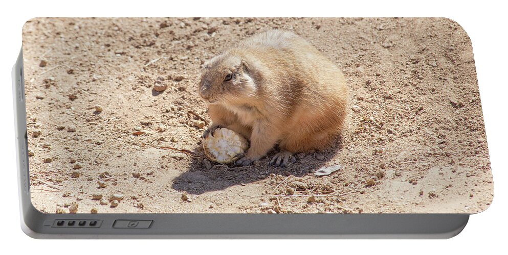 Prairie Dog Portable Battery Charger featuring the photograph Cute Prairie Dog 06 by Elisabeth Lucas