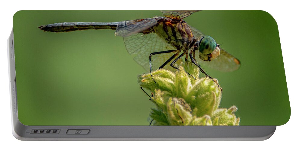 Insect Portable Battery Charger featuring the photograph Dragon Fly by Cathy Kovarik