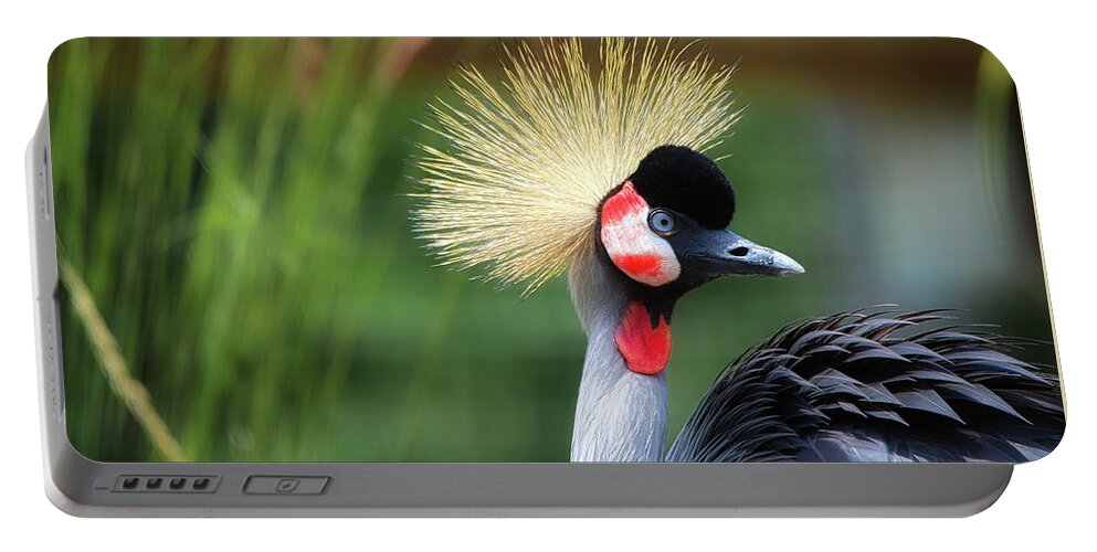 East African Crowned Crane Portable Battery Charger featuring the photograph East African Crowned Crane #1 by Scott Burd