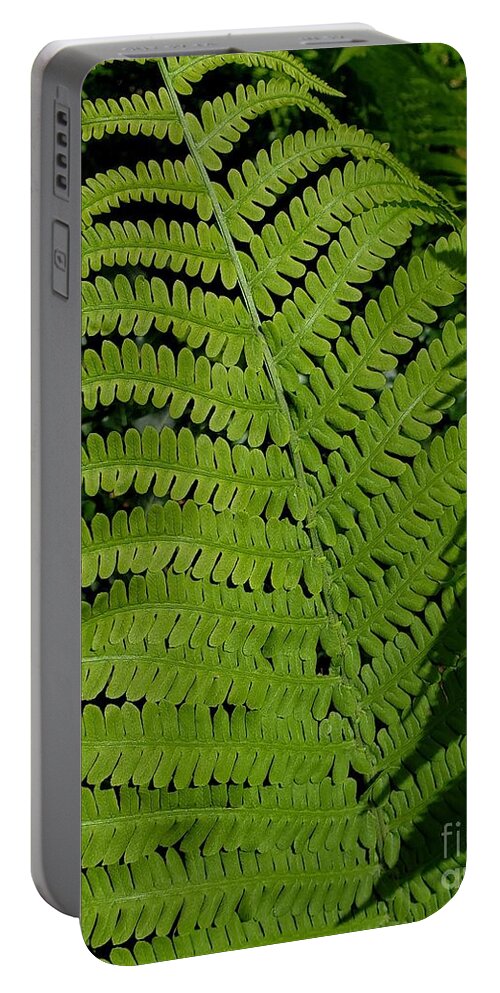 Ferns Portable Battery Charger featuring the photograph Ferns #1 by Anita Adams