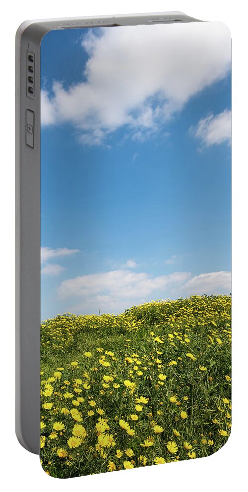 Flowers Portable Battery Charger featuring the photograph Field with yellow marguerite daisy blooming flowers against and blue cloudy sky. Spring landscape nature background by Michalakis Ppalis