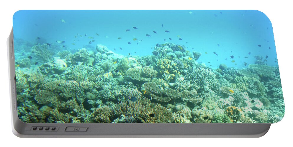 Sea Portable Battery Charger featuring the photograph fish among corals in Red Sea #1 by Mikhail Kokhanchikov