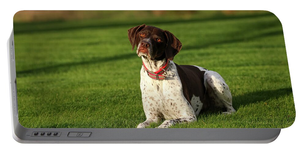 German Shorthaired Portable Battery Charger featuring the photograph German Shorthaired Pointer by Brook Burling