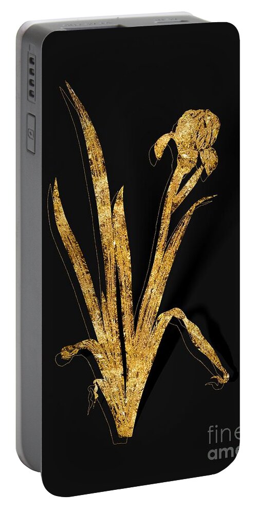 Vintage Portable Battery Charger featuring the mixed media Gold Crimean Iris Botanical Illustration on Black #1 by Holy Rock Design