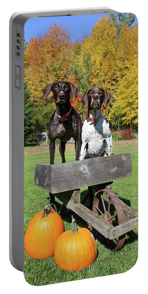 Gsp Portable Battery Charger featuring the photograph GSP Fall Portrait by Brook Burling